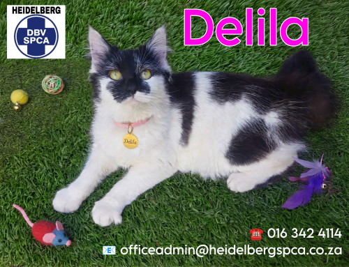 Delila